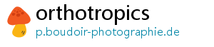 orthotropics